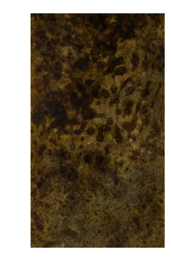 Lazlo patina finish M0071